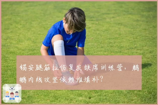 锡安腿筋拉伤复发缺席训练营,鹈鹕内线攻坚依赖谁填补?