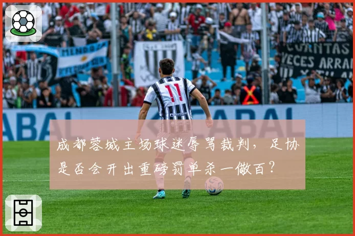成都蓉城主场球迷辱骂裁判，足协是否会开出重磅罚单杀一儆百？