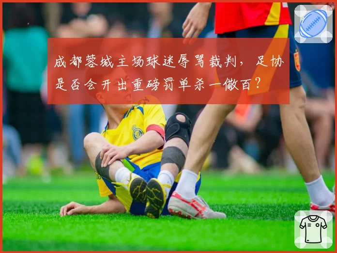 成都蓉城主场球迷辱骂裁判，足协是否会开出重磅罚单杀一儆百？